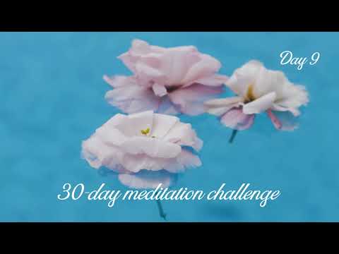 Meditation challenge day 9