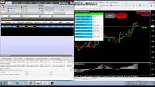 ROBO TRADER V2 PRT