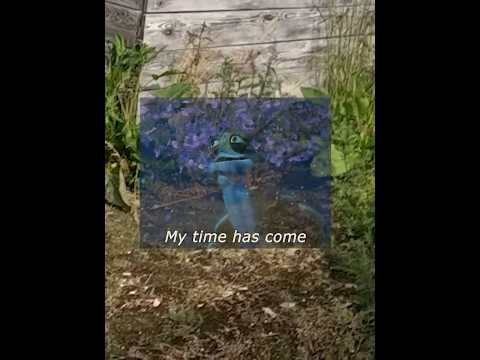 J'étais finito  #airsoft #airsoftcqb #airsoftfrance #paintball #warzone #gaming  #combat #callofduty