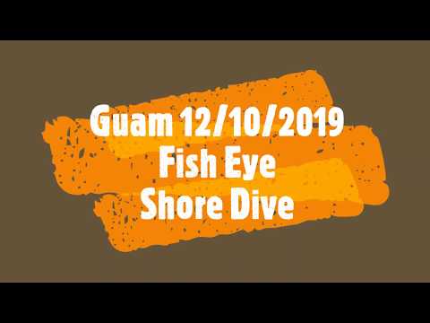 Dive - Guam - 12-10-2019 - Fish Eye