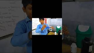 #shorts #scientist #schooldays #Science #Shortvideos #learn #learnbydoing #handsonscience
