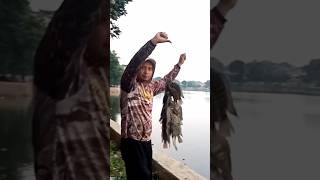 Mancing Ikan mujaer bikin penasaran #fishing #shorts