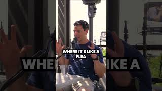 Flea Market of Ideas #vegastech #techecosystem #techcommunity