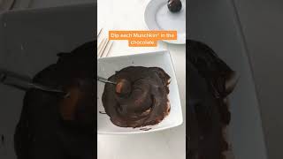 Mini vlog: munchkin madness #minivlog #learnfromme #dunkindiy