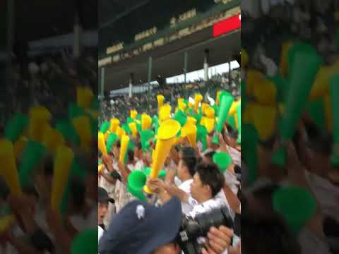 鶴岡東応援　スマイリー#応援 #高校野球 #甲子園 #鶴岡東#アルプス#大塚愛