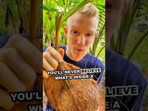 SPROUTED COCONUT! What? #shorts