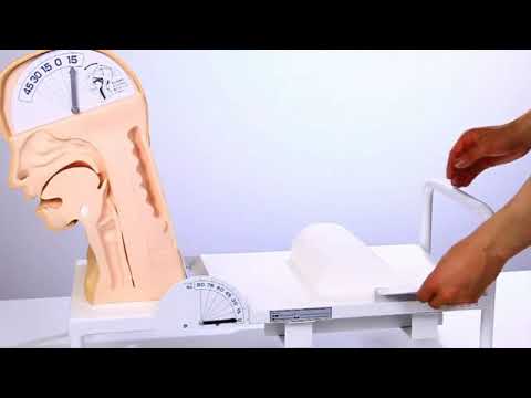 Swallowing Mechanism Model, Sakamoto Model