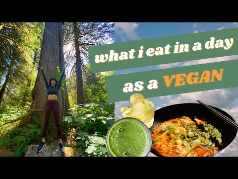 What I Eat In A Day | VEGAN while living at my *parent's house*