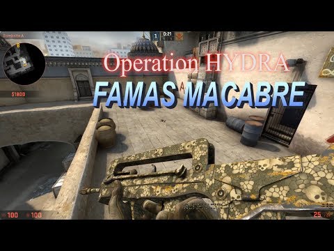 CSGO Famas Macabre Skin Showcase