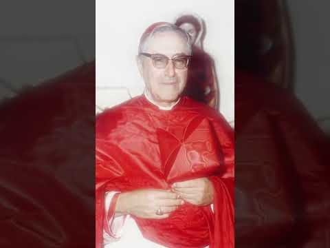 O verdadeiro ecumenismo consiste em converter as pessoas ao catolicismo!#igrejacatólica #edit #jesus