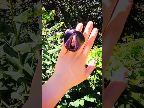 #industrialdesign #understandingbydesign #aestheticdesign #designerjeweller #diseñoindustrial