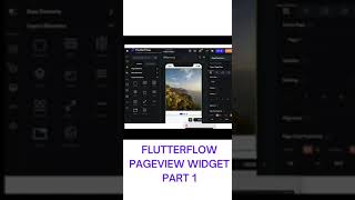 FLUTTERFLOW PAGE VIEW WIDGET PART 1 # #flutter # #flutterflow # #videotutorial #shorts #pageview