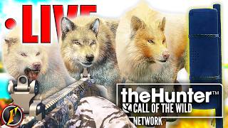 Take 2?!? Setting Up a FEEDER GRIND for Wolves! | Wolf GO Grinding!| LIVE