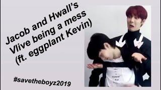 Hwall + Jacob’s Vlive being a mess