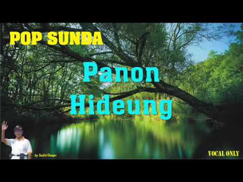 Panon hideung
