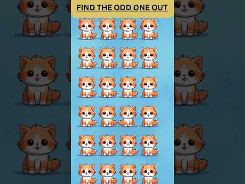 The Odd One Puzzle: Test Your Observation Skills! #quiz #animalkingdom #factsonly #puzzlecats #fun