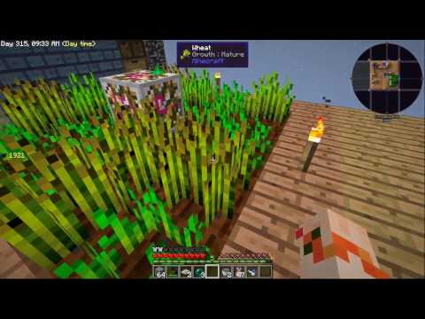 Sky Factory 3 - One Chunk Challenge - Episode 11
