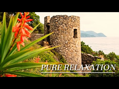 🔴[3 HOUR] Healing Water Journey – Relaxing Spa Music for Balance | Oxy Music