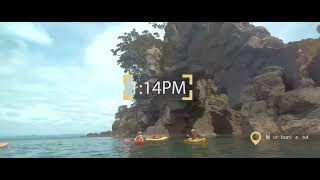Eco adventures in Whakatane this autumn