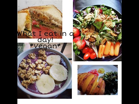 Vegan Eats! What I eat in a day as a new Vegan!