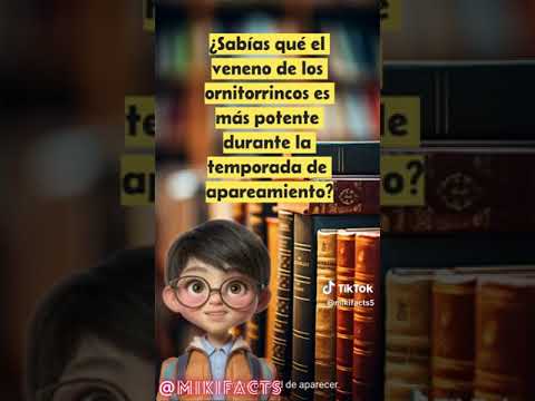 #CuriosidadesSobreOrnitorrincos