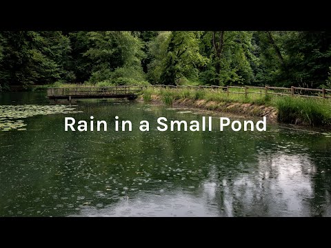 Rain in a Small Pond