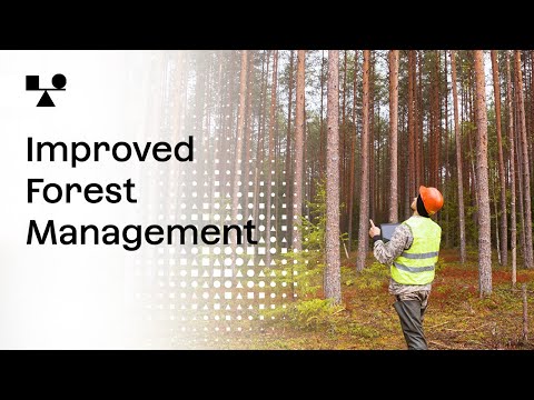 Improved Forest Management  | Sector Snapshot