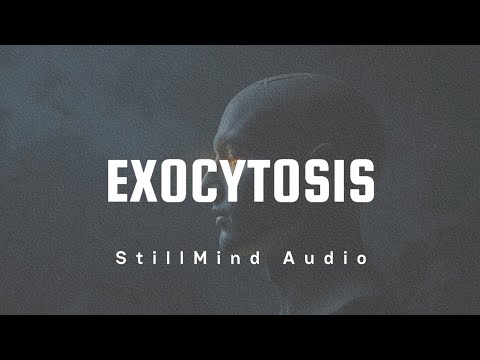 Neural State Protocol: 2-Hour Bilateral Stimulation + 11Hz Alpha Entrainment
