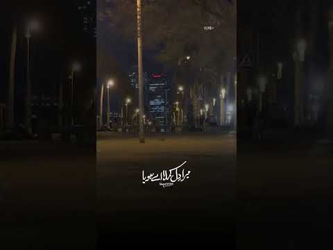 Dil Kamla Mera Dil Kamla Hoya | New Song | Punjabi Song | #punjabimusic #song #love #newpunjabisong