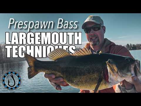 Largemouth Bass Fishing Techniques for Pre-Spawn Patterns