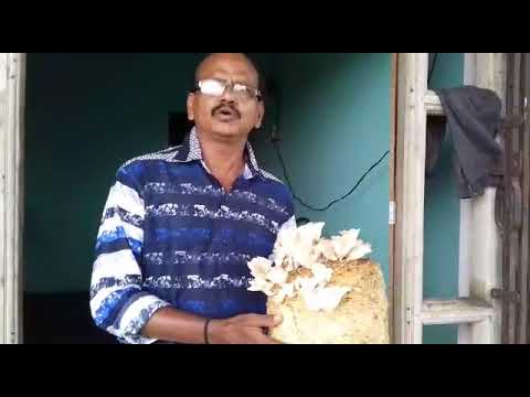 Success story of Dr.Kalamkar, Trained from MAHAGRO INDIA 09004606012