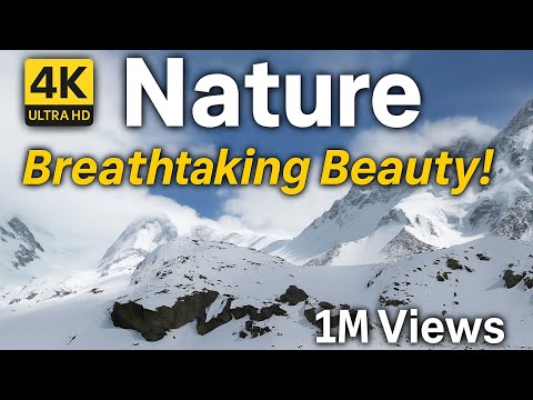 4K ULTRA HD VIDEO| ANIMAL 4K VIDEO |#nature #wildlife #4kultrahd #youtube