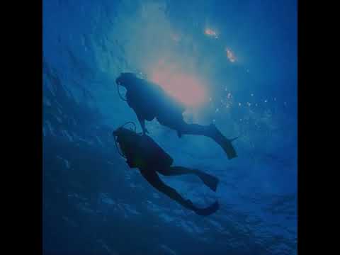 VIDEO PLAYGROUND DE CURIOSIDADES SOBRE ALGÚN DEPORTE DE SU PREFERENCIA (NATACIÓN )
