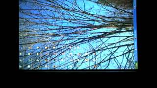 Computer Pranks - How To Rotate Your Friends Screen With The Keyboard