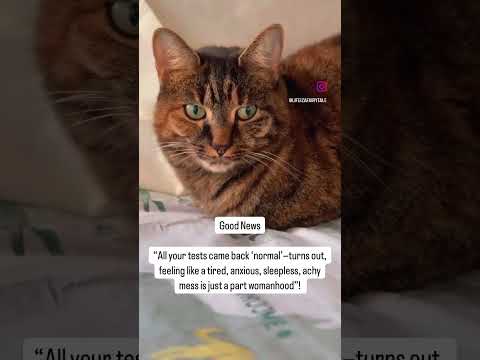 Who else is normal ? #womanhood #funnyvideos #women