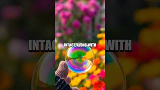 Bouncing Bubble Experiment: Understanding Elasticity and Surface Tension