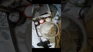 AI Bird Feeder Declares Birds As Stakeholders - 04 February 2026 #homelab #garden #shorts