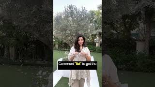 Internship Programs For Students