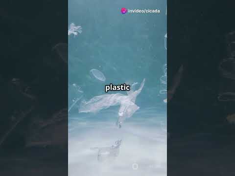 Plastic Pollution  The Global Time Bomb
