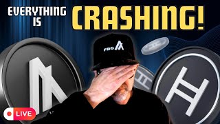 Algorand, Hedera crashing - and Algo Foundation drops a bomb
