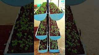 High-tech jugad by dynamic farmer🌾🌾🌾🌴🌵🌲 #1k #nature #starfruit #organicfarming #youtube #dynamic