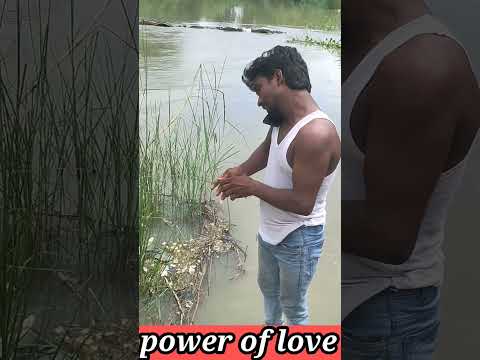 power of love #shortNewvideo #shortscomedyvideo #shortvideo #fannycomShortsvideoedyvideo☺️😊🙈🤪👊 #vi
