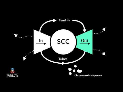 BigDataX: Structure of the web