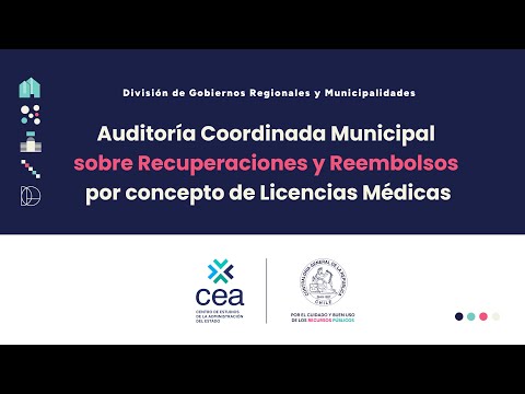 Municipal Coordinated Audit on Recoveries and Reimbursements for Medical Licenses