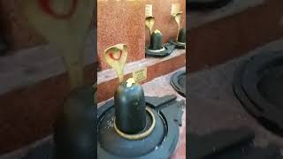 #shivtandavaarti#kedarnath#love#shankar#bhaktisong#song#mantra#bhajan#shivamantrachanting#shivamantr