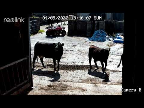 Camera B 00 20220904134328