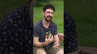 Tremor FREE Plugin Demo #sounddesigner #plugins #musicsoftware