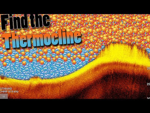 Find the THERMOCLINE - Catch more fish!