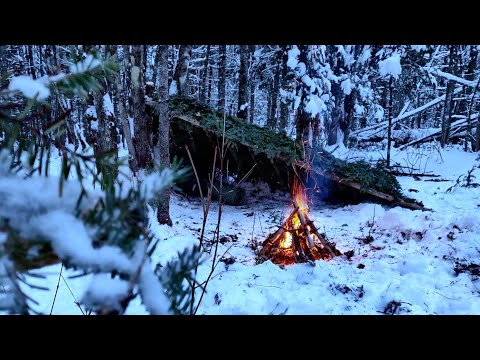 BUSHCRAFT WINTER Survival Shelter - Camping in the Snow