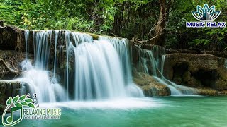 Rain on Window – Relaxing Rain Sounds for Sleep, Study & Calm